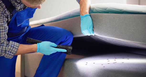 Best Mosquito Control Services  in Choudrant, LA