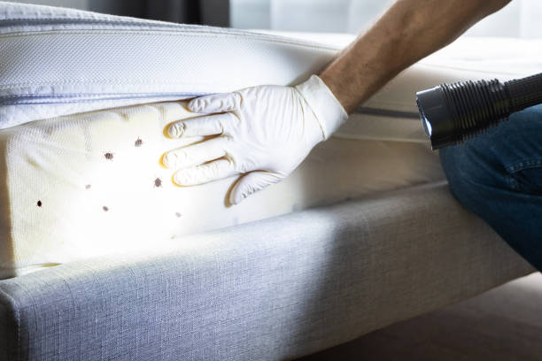 Best Commercial Pest Control Services  in Choudrant, LA