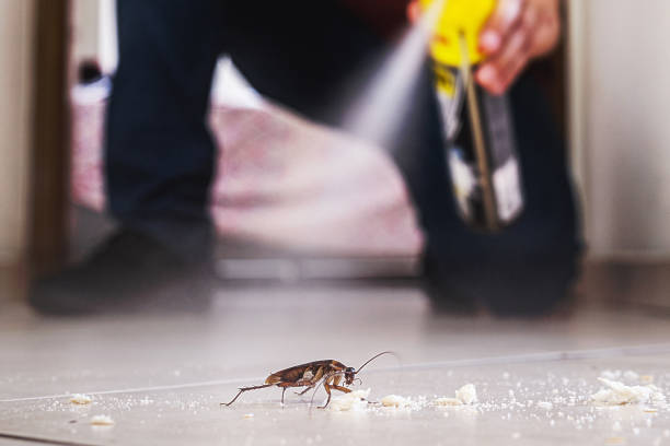 Best Residential Pest Control  in Choudrant, LA