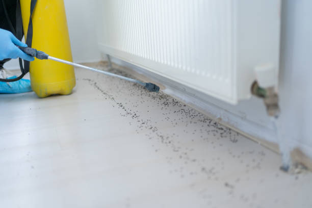 Best Cockroach Control Services  in Choudrant, LA