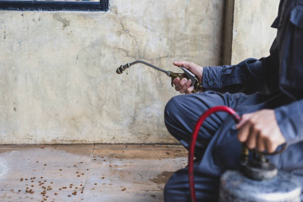 Best Mosquito Control Services  in Choudrant, LA